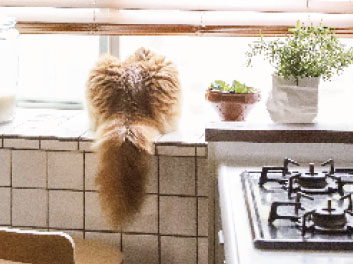 ただそれでごがたになれものしかそう幸福