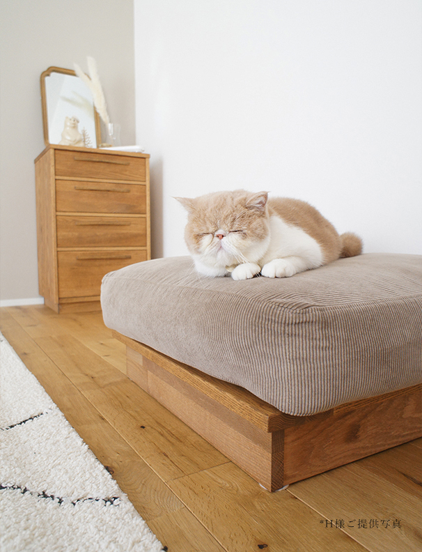 モモナチュラルの家具ユーザー様のご自宅。ソファでくつろぐ猫